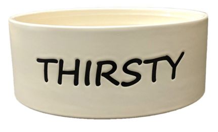 Spot Thirsty Dog Dish Water Bowl (size: 1 count 7" wide)