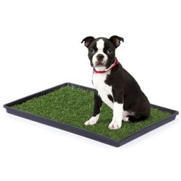 Tinkle Turf (size: small)
