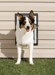 PetSafe Wall Dog Door (size: medium)